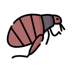 Pireler